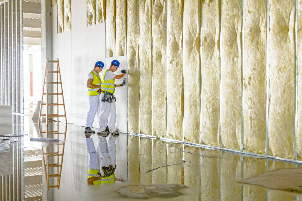 Best Basement Insulation  in Parkville, MO